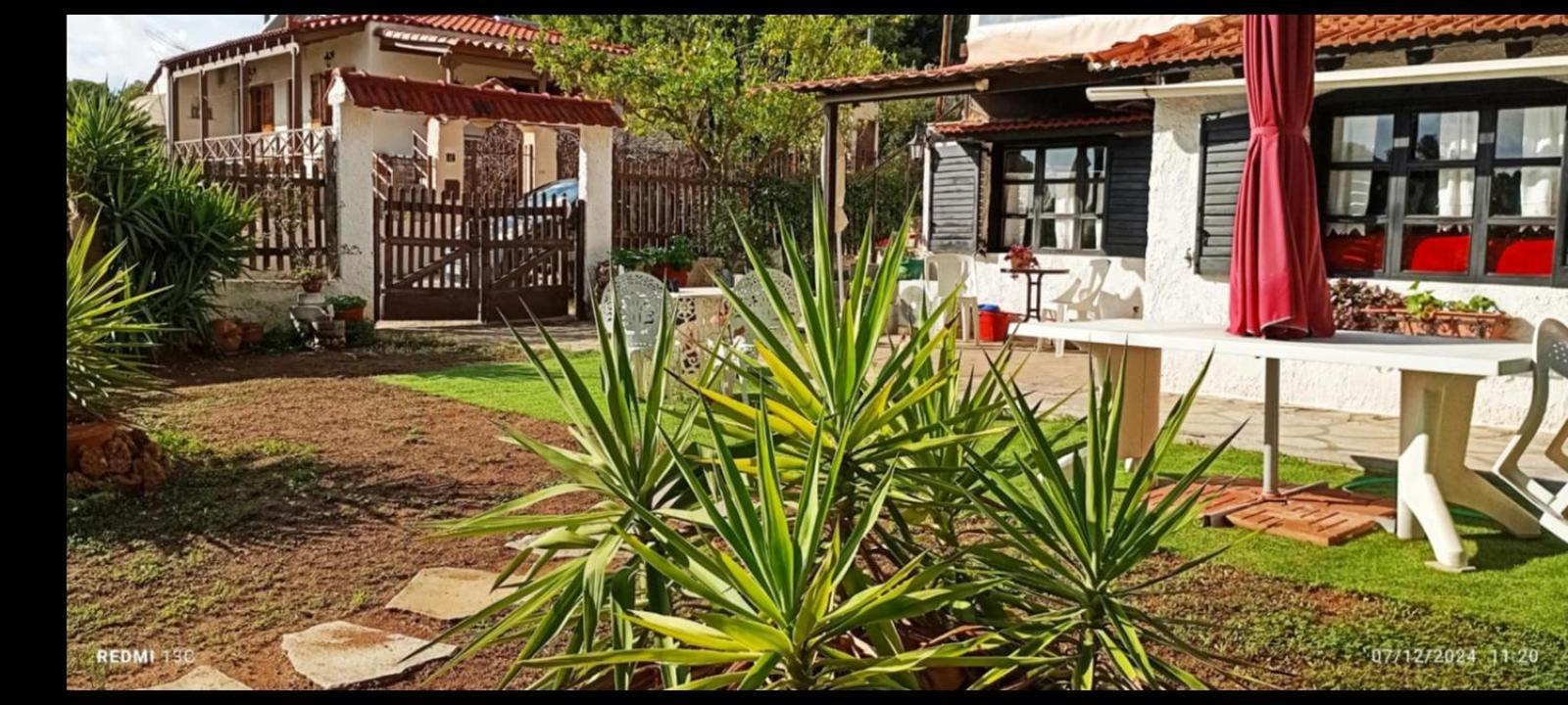 Phedra'S House Spata- Artemida 외부 사진